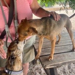 Little Arturo giving loving kisses to Mia at SCAN in Costa Blanca, Spain.