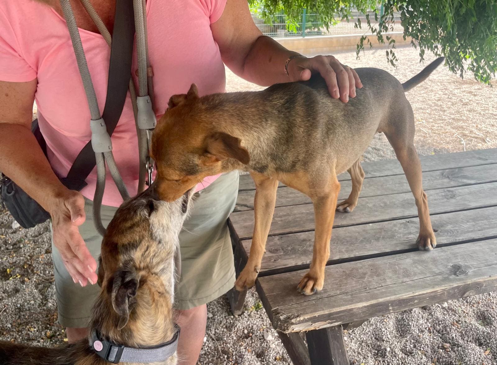 Little Arturo giving loving kisses to Mia at SCAN in Costa Blanca, Spain.